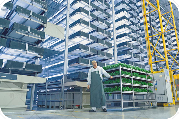 倉儲行業,效率提升